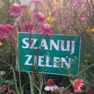 szanuj zieleń